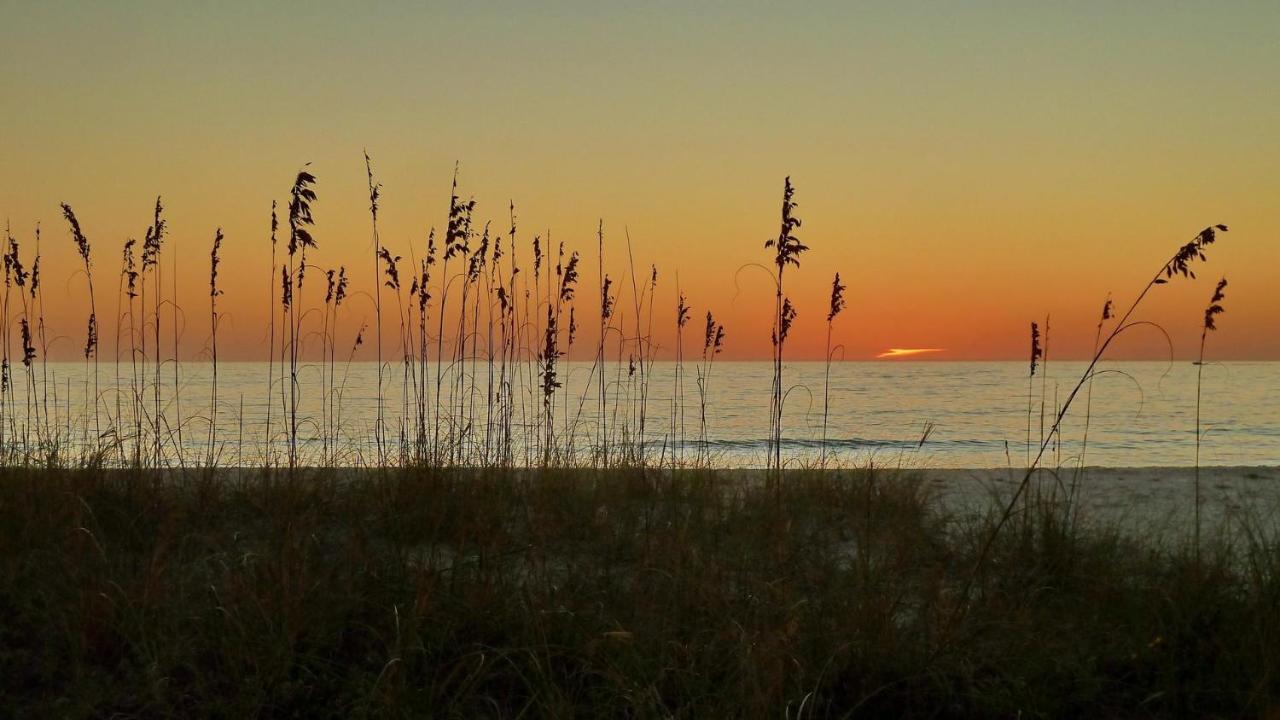 Sunset Chateau 409 St. Pete Beach Eksteriør billede